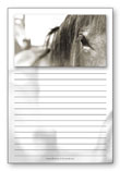 note pads in various sizes
